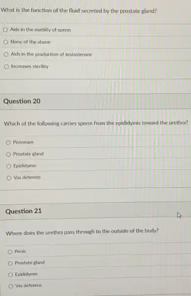 What is the function of the fluid secreted by the prostate gland?
Aids in the motility of sperm
None of the above
Aids in the production of testosterone
Increases sterility
Question 20
Which of the following carries sperm from the epididymis toward the urethra?
Perineum
Prostate gland
Epididymis
Vas deferens
Question 21
Where does the urethra pass through to the outside of the body?
Penis
Prostate gland
Epididymis
Vas deferens