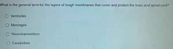 What is the general term for the layers of tough membranes that cover and protect the brain and spinal cord?
Ventricles
Meninges
Neurotransmitters
Cerebellum