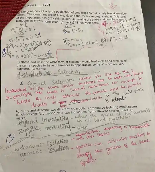 a green and ation of tree
C. procies of this postcards (5 marks) "Showe the work. on. Colour. Determincess allele and ge notype -
G, and terminessive grey allele.Only
10% 
()
the same and describe what Terences friends on and lead males and females of
extreme?(3 marks)
(Becies to have difference in appearance, some of want are very
__
choose who
demorphism
6) Name and fertillaation different prezygotic reproductive isolating mechanisms which prevent fertilization after two
marks)