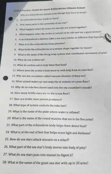 Guided Practice: Watch the movie Echinoderms Ultimate Animal
1. Why are echinoderms animals even though they have no brain?
2. Do echinoderms have heads or faces?
3. How many parts in the symmetry of sea star?
4. What happens when the arms of a sea star are joined together?
5. What happens when the urchin is turned on its side and has a good stretch?
6. Is an echinoderm'skeleton (like a sea star) similar or different than humans?
7. What is in the echinoderms bony platelets?
8. What holds the echinoderms in a certain shape together for hours?
9. What is the name of the living relay system that coordinates movement of arm?
10. What do sea urchins eat?
11. What do urchins use to help them find food?
12. Where does the urchin's food move to with help from its tube feet?
13. Why are sea cucumbers called vacuum cleaners of deep sea?
14. What animal makes up vast majority of animals on ocean floor?
15. Why do its tube feet shovel sand into the sea cucumber's mouth?
16. How many brittle stars are on the ocean floor?
17. How are brittle stars patient predators?
18. What type of system controls the tube feet?
19. What is the name of the plate where water is inflated?
20. What is the name of the round muscles that are in the five arms?
21. What part of the echinoderm body helps them detect food?
24. What is at the end of feet that helps sense light and darkness?
25. How do sea stars attack mussels on a wharf?
26. What part of the sea star's body moves into body of prey?
27. What do sea stars puts into mussel to digest it?
28. What is the name of the giant sea star with up to 20 arms?