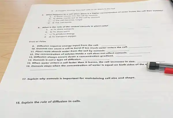 What happens to a cell when there is a higher con centration of
cell tha no de?
a) Water moves into the cell by osmosis
a.
b.
b) Water moves out of the cell by osmosis
c.
c) The cell becom es turgid
d d) The cell bursts
d. d)owyoen moving from leaf cells to air space in the leaf
8. What is the role of the central vacuole in plant cells?
a) To store nutrients
b. b) To store water
c. c) To produce energy
d. d) To transport oxygen
m e or False
9. Diffusion requires energy input from the cell.
__
10. Osmo sis can cause a cell to burst If too much w
water enters the cell.
__
11. Plant ro ots absorb wa ter from the soil by osmosis.
__
12. The co ncentra tion of solutes inside a cell does not affect osmosis.
__
13. Diffusion always occurs down a co ncentration gra dient.
__
14. Osmosis is not a type of diffusio n.
__
15. When water enters a cell faste than it lea res, the cell incr eases in size.
__
16. Osmosis stops when the con centration of water is equal on both sides of the r
__
17. Explain why osmosis is important for maintaining cell size and shape.
18. Explain the role of diffusion in cells.