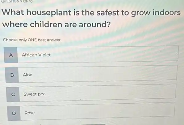 What houseplant is the safest to grow indoors
where children are around?
Choose only ONE best answer.
A African Violet
B Aloe
C
Sweet pea
D
Rose