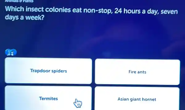 Which insect colonies eat non-stop, 24 hours a day.seven
days a week?
Trapdoor spiders
Fire ants
Termites
Asian giant hornet