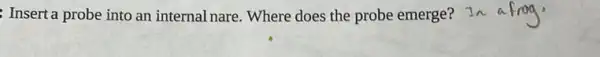 Insert a probe into an internal nare. Where does the probe emerge? In