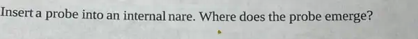 Insert a probe into an internal nare. Where does the probe emerge?