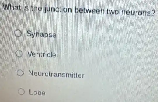 What is the junction between two neurons?
Synapse
Ventricle
Neurotransmitter
Lobe