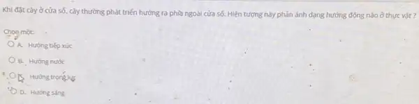 Khi đặt cây ở cửa số, cây thường phát triển hướng ra phia ngoài cửa số. Hiện tượng này phản ánh dạng hướng động nào ở thực vật?
Chon một:
A. Hướng tiếp xúc
B. Hướng nước
D. Hướng sáng