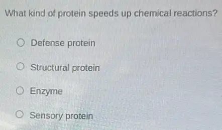 What kind of protein speeds up chemical reactions?
Defense protein
Structural protein
Enzyme
Sensory protein