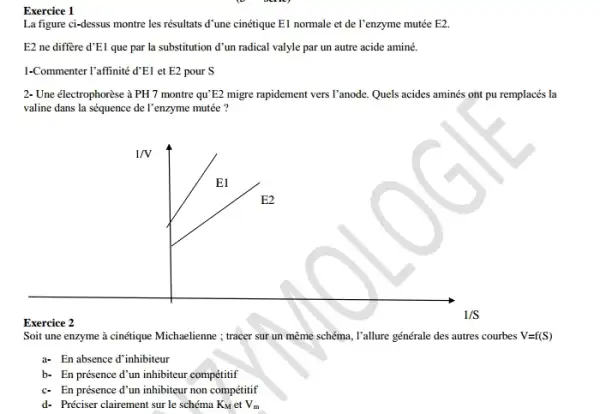 La figure ci-dessus montre les résultats d'une cinétique El normale et de l'enzyme mutée E2.
E2 ne diffère d'EI que par la substitution d'un radical valyle par un autre acide aminé.
1-Commenter l'affinité d'E1 et E2 pour S
2- Une électrophorèse à PH 7 montre qu'E2 migre rapidement vers l'anode. Quels acides aminés ont pu remplacés la
valine dans la séquence de l'enzyme mutée ?
Exercice 2
Soit une enzyme à cinétique Michaelienne ; tracer sur un même schéma, l'allure générale des autres courbes V=f(S)
a- En absence d'inhibiteur
b- En présence d'un inhibiteur compétitif
c- En présence d'un inhibiteur non compétitif
d- Préciser clairement sur le schéma K_(M) et V_(m)