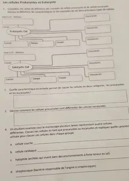 Les cellules Prokaryotes et Eukaryote
1. Complétez les cartes de definition des concept.de cellule procaryote et de cellule eucaryote.
la définition, les caractéristiques et des exemples de ces deux principaux types de cellules.
Choracteristic
What Is 117-Definition
square 
square 
I
Prokaryotic Cell
Example
nucleus
Example nucleus
Example
nucleus
What Is It? - Definition
square 
square 
Concept
Eukaryotic Cell
Example
nucleus
Example nucleus
Example nucleus
Choracteristic
Choracteristic
Characteristic
Choracteristic
nucleus
Choracteristic
nucleus
2. Quelle caractéristique essentielle permet de classer les cellules en deux catégories: les procaryotes
et les eucaryotes?
square 
3. Décrire comment les cellules procaryotes sont différentes des cellules eucaryotes.
square 
4. Unétudiant examine sous le microscope plusieurs lames représentant quatre cellules
différentes. Classez ces cellules en tant que procaryotes ou eucaryotes et expliquez quelle caractéri
utilisée pour classer ces cellules dans chaque groupe.
a. cellule souche
__
b. cellule cardiaque
__
c. halophile (archées qui vivent dans des environnements à forte teneur en sel)
__
d. streptocoque (bactérie responsable de l'angine à streptocoques)