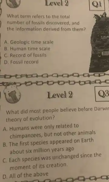 Level 2
What term refers to the total
number of fossils discovered,and
the information derived from them?
A. Geologic time scale
B. Human time scale
C. Record of fossils
D. Fossil record
Level 2
What did most people believe before Darwir
theory of evolution?
A. Humans were only related to
chimpanzees but not other animals
B. The first species appeared on Earth
about six million years ago
C. Each species was unchanged since the
moment of its creation.
D. All of the above