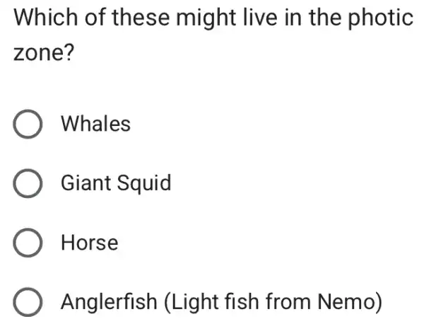 Which of these might : live in the photic
zone?
) Whales
Giant Squid
) Horse
Anglerfish I (Light fish from Nemo)