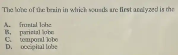 The lobe of the brain in which sounds are first analyzed is the
A. frontal lobe
B. parietal lobe
C. temporal lobe
D. occipital lobe