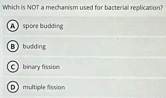 Which is NOT a mechanism used for bacterial replication?
A spore budding
B budding
C binary fission
D multiple fission