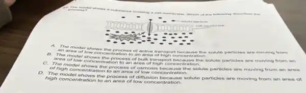 A. The model shows the process of active transport because the solute particles are moving from an area of four concentration to an area of high concentration.
B. The model shows the process of bulk transport because the solute particles are moving from an area of low concentration to an area of high concentration.
C. The model shows the process of osmosis because the solute particles are moving from an of high concentration to an area of low concentration.
D. The model shows the process of diffusion because solute particles are moving from an area of high concentration to an area of low concentration.