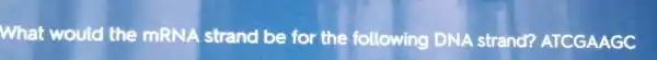 What would the mRNA strand be for the following DNA strand?ATCGAAGC