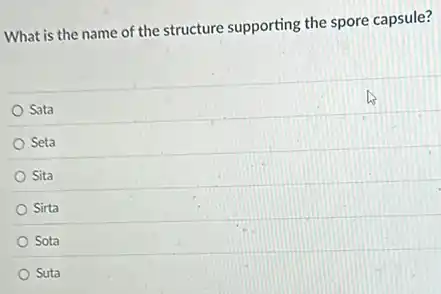 What is the name of the structure supporting the spore capsule?
Sata
Seta
Sita
Sirta
Sota
Suta