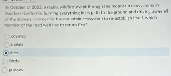 In October of 2022.a raging wildfire swept through the mountain ecosystems in
Southern California, burning everything in its path to the ground and driving away all
of the animals. In order for the mountain ecosystem to re-establish itself, which
member of the food web has to return first?
coyotes
snakes
deer
birds
grasses