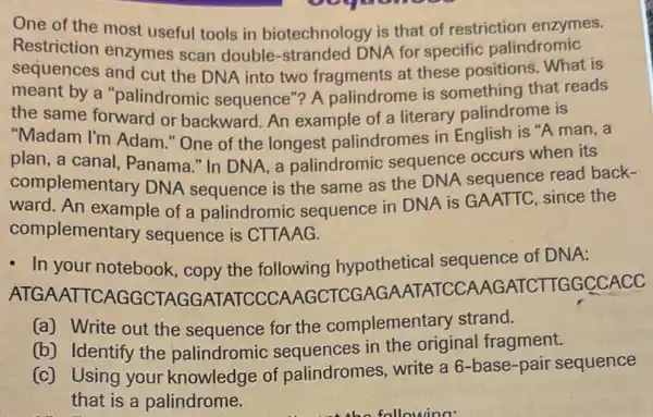 One of the most useful tools in biotechnology is that of restriction enzymes.
Restriction enzymes scan double-stranded DNA for specific palindromic
sequences and cut the DNA into two fragments at these positions. What is
meant by a "palindromic sequence"? A palindrome is something that reads
the same forward or backward. An example of a literary palindrome is
"Madam I'm Adam "One of the longest palindromes in English is "A man, a
plan, a canal , Panama." In DNA, a palindromic sequence occurs when its
complementary DNA sequence is the same as the DNA sequence read back-
ward. An example of a palindromic sequence in DNA is GAATTC,since the
complementary sequence is CTTAAG.
- In your notebook copy the following hypothetical sequence of DNA:
ATGAATTCAGGCTA GGATATCCCA VAGCTCGAG AATATCCAAGATCTTGGGCCACC
(a) Write out the sequence for the complementary strand.
(b) Identify the palindromic sequences in the original fragment.
(c) Using your knowledge of palindromes, write a 6 -base-pair sequence
that is a palindrome.