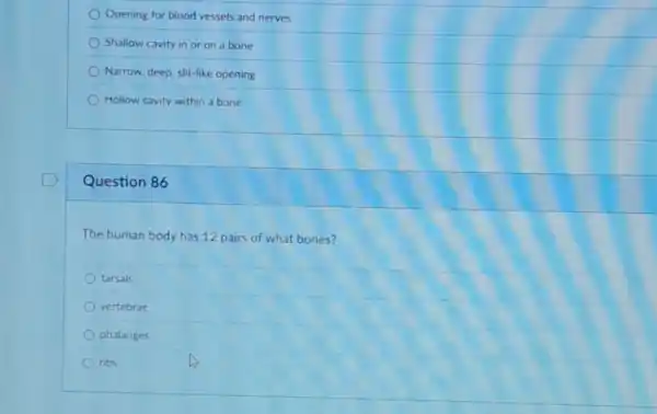 Opening for blood vessels and nerves
Shallow cavity in or on a bone
Narrow, deep, slit-like opening
Hollow cavity within a bone
Question 86
The human body has 12 pairs of what bones?
tarsals
vertebrae
phalanges
ribs