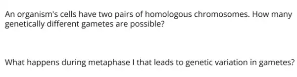 An organism's cells have two pairs of homologous chromosomes. How many
genetically different gametes are possible?
What happens during metaphase I that leads to genetic variation ir gametes?