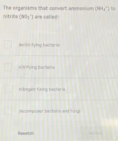 The organisms that convert ammonium (NH_(4)^+) to
nitrite (NO_(2)^-) are called:
denitrifying bacteria
nitrifying bacteria
nitrogen fixing bacteria
decomposer becteria and fungi
Rewatch