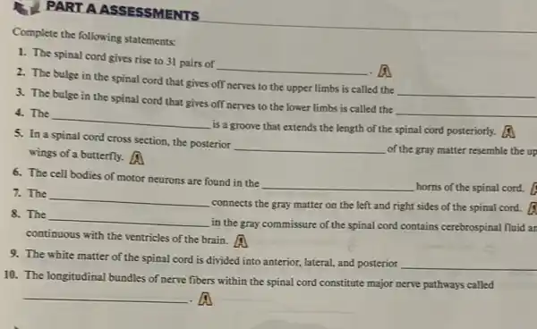 PART A ASSESSMENTS
Complete the following statements:
1. The spinal cord gives rise to 31 pairs of
__
2. The bulge in the spinal cord that gives off nerves to the upper limbs is called the
__
3. The bulge in the spinal cord that gives off nerves to the lower limbs is called the
__
4. The
__
is a groove that extends the length of the spinal cord posteriorly.
5. In a spinal cord cross section, the posterior
__ of the gray matter resemble the up
wings of a butterfly.
6. The cell bodies of motor neurons are found in the
__ horns of the spinal cord.
7. The
__
connects the gray matter on the left and right sides of the spinal cord.
8. The
__
in the gray commissure of the spinal cord contains cerebrospinal fluid ar
continuous with the ventricles of the brain.
9. The white matter of the spinal cord is divided into anterior, lateral and posterior
__
10. The longitudinal bundles of nerve fibers within the spinal cord constitute major nerve pathways called
__