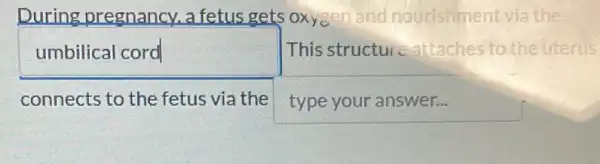 During pregnancy.a fetus gets oxyoen and nourishment via the
umbilical cord	This structur eattaches to the uterus
connects to the fetus via the type your answer...