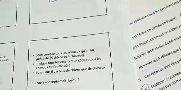 prese to is chiens ct 4
n lui
ch
- Puis il dit il
Quels concepts
sir egalement nent tous les exercices faits
est Yécole de pensée de Piaget?
près Piaget, comment un enfant a
iommez les 4 stades du develop
Nommez les 4 réflexes gue
5. Ces réflexes sont des
Expliquez : réaction
pas unexg