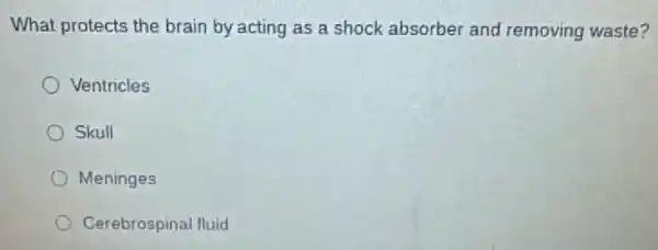 What protects the brain by acting as a shock absorber and removing waste?
Ventricles
Skull
Meninges
Cerebrospinal fluid