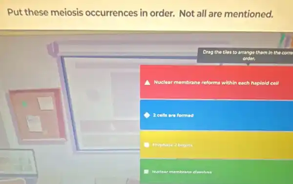 Put these meiosis occurrences in order.Not all are mentioned.
Drag the tiles to arrange them in the
order.
Nuclear membrane reforms within each haploid cell
2 cells are formed
Prophase 2 begins
Nuclear membrane dissolves