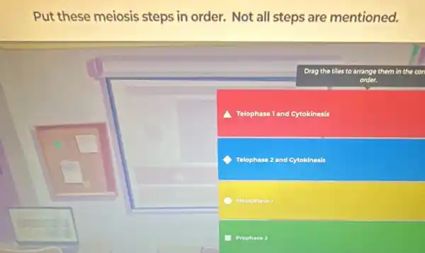 Put these meiosis steps in order. Not all steps are mentioned.
Drag the tiles to arrange them in the con
order.
a Telophase 1 and Cytokinesis
C Telophase 2 and Cytokinesis
Metaphase 1
Prophase 2