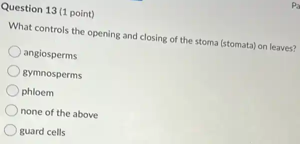 Question 13 (1 point)
What controls the opening and closing of the stoma (stomata) on leaves?
angiosperms
gymnosperms
phloem
none of the above
guard cells