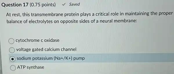 Question 17 (0.75 points)
At rest, this transmembrane protein plays a critical role in maintaining the proper
balance of electrolytes on opposite sides of a neural membrane:
cytochrome c oxidase
voltage gated calcium channel
sodium potassium (Na+/K+) /K+) pump
ATP synthase