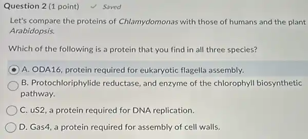 Question 2 (1 point)
Let's compare the proteins of Chlamydomonas with those of humans and the plant
Arabidopsis.
Which of the following is a protein that you find in all three species?
A. ODA16, protein required for eukaryotic flagella assembly.
B. Protochloriphylide reductase, and enzyme of the chlorophyl biosynthetic
pathway.
C. uS2, a protein required for DNA replication.
D. Gas4, a protein required for assembly of cell walls.
√ Saved