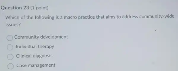 Question 23 (1 point)
Which of the following is a macro practice that aims to address community-wide
issues?
Community development
Individual therapy
Clinical diagnosis
Case management