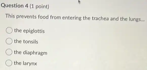 Question 4 (1 point)
This prevents food from entering the trachea and the lungs __
the epiglottis
the tonsils
the diaphragm
the larynx