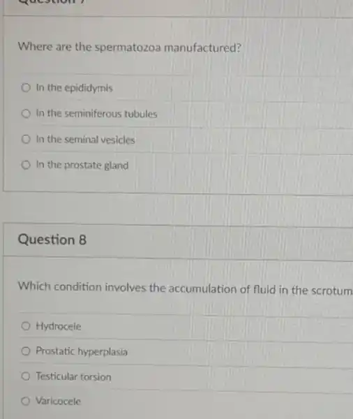 Question 7
Where are the spermatozoa manufactured?
In the epididymis
In the seminiferous tubules
In the seminal vesicles
In the prostate gland
Question 8
Which condition involves the accumulation of fluid in the scrotum
Hydrocele
Prostatic hyperplasia
Testicular torsion
Varicocele