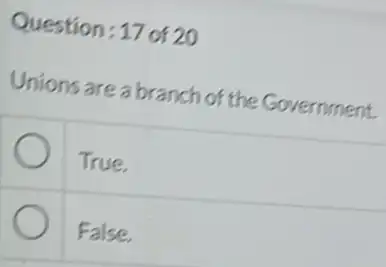 Question:17 of 20
Unions are a branch of the Government.
True.
False.