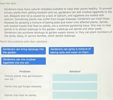 Read the text.
Gardeners have many natural remedies avallable to keep their plants healthy. To prevent tomato plants from getting blossom-end rot, gardeners can add crushed eggshells to the soil. Blossom-end rot is caused by a lack of calcium, and eggshells are loaded with calcium. Sometimes plants may suffer from fungal diseases. Gardeners can treat these diseases by spraying a mixture of baking soda and water onto affected plants. Aphids, soft-bodied insects that feed on plants, are a common gardening issue. One way to stop aphids is to attract ladybugs to the garden. Ladybugs eat aphids and other pests. Gardeners can purchase ladybugs at garden supply stores, or they can plant members of the tansy, daisy, or yarrow families, which attract ladybugs.
Match the problems with their solutions.
Gardeners can bring ladybugs into the garden.
Gardeners can mix crushed eggshells into the soil.
Problem
Tomato plants may get blossomend rot.
Plants may get fungal diseases.
Aphids may feed on plants.
Gardeners can spray a mixture of baking soda and water on them.