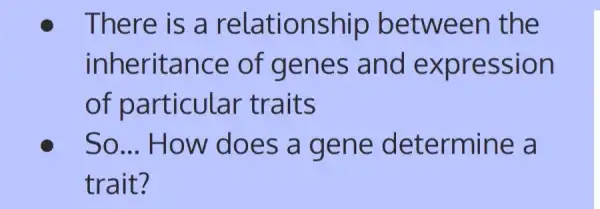 There is a relationship between the
inheritance of genes , and expression
of particular - traits
So __ How does a gene determine a
trait?