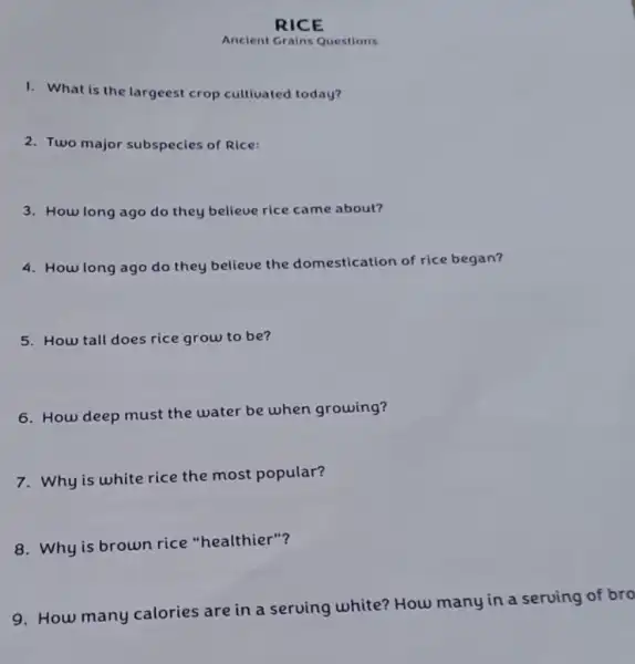 RICE
Ancient Grains Questions
1. What is the largeest crop cultiuated today?
2. Two major subspecies of Rice:
3. How long ago do they believe rice came about?
4. How long ago do they believe the domestication of rice began?
5. How tall does rice grow to be?
6. How deep must the water be when growing?
7. Why is white rice the most popular?
8. Why is brown rice "healthier"?
9. How many calories are in a serving white? How many in a serving of bro