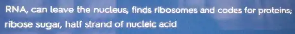 RNA,can leave the nucleus finds ribosomes and codes for proteins;
ribose sugar,half strand of nucleic acid