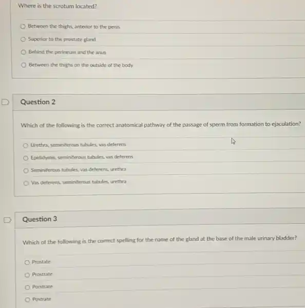 Where is the scrotum located?
Between the thighs, anterior to the penis
Superior to the prostate gland
Behind the perineum and the anus
Between the thighs on the outside of the body
Question 2
Which of the following is the correct anatomical pathway of the passage of sperm from formation to ejaculation?
Urethra, seminiferous tubules, vas deferens
Epididymis, seminiferous tubules, yas deferens
Seminiferous tubules, vas deferens urethra
Vas deferens, seminiferous tubules urethra
Question 3
Which of the following is the correct spelling for the name of the gland at the base of the male urinary bladder?
Prostate
Prostrate
Porstrate
Postrate