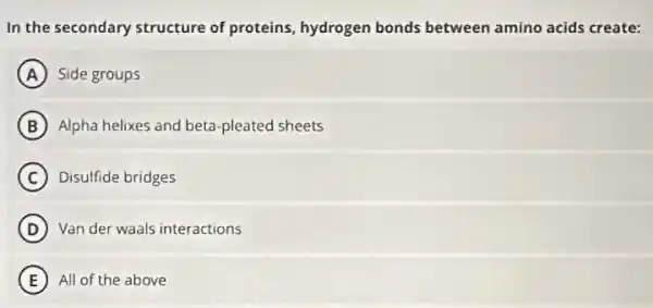 In the secondary structure of proteins, hydrogen bonds between amino acids create:
A Side groups
B Alpha helixes and beta -pleated sheets
C Disulfide bridges
D Van der waals interactions
E All of the above