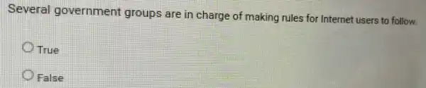 Several government groups are in charge of making rules for Internet users to follow.
True
False