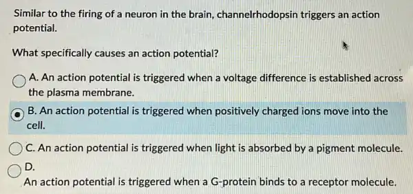 Similar to the firing of a neuron in the brain channelrhodopsin triggers an action
potential.
What specifically causes an action potential?
A. An action potential is triggered when a voltage difference is established across
the plasma membrane.
B
cell.
B. An action potential is triggered when positively charged ions move into the
C. An action potential is triggered when light is absorbed by a pigment molecule.
D.
An action potential is triggered when a G -protein binds to a receptor molecule.