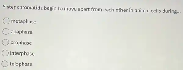 Sister chromatids begin to move apart from each other in animal cells during.
__
metaphase
anaphase
prophase
interphase
telophase