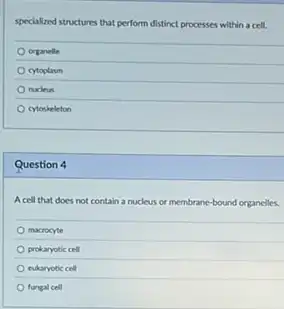 specialized structures that perform distinct processes within a cell.
organelle
cytoplasm
nucleus
cytoskeleton
Question 4
Acell that does not contain a nucleus or membrane-bound organelles.
macrocyte
prokaryotic cell
cukaryotic cell
fungal cell
