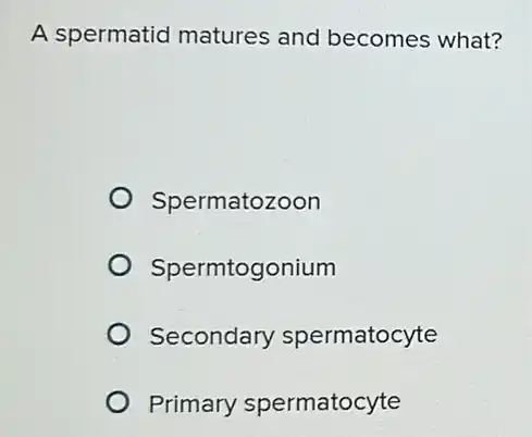 A spermatid matures and becomes what?
Spermatozoon
Spermtogonium
Secondary spermatocyte
Primary spermatocyte